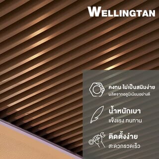 Gallery item 4
