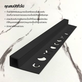 Gallery item 5
