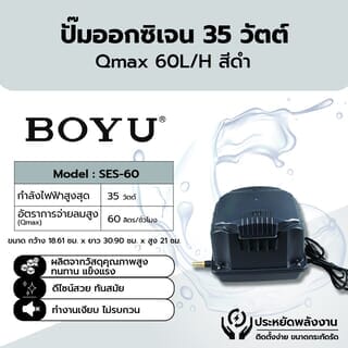 Gallery item 1