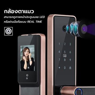Gallery item 6