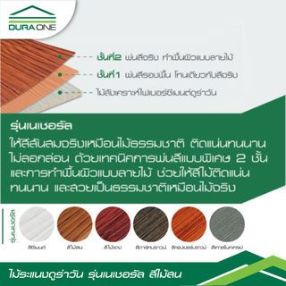 Gallery item 4