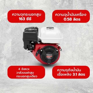 Gallery item 3