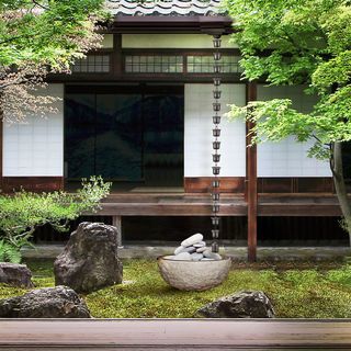 Gallery item 6