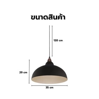 Gallery item 3