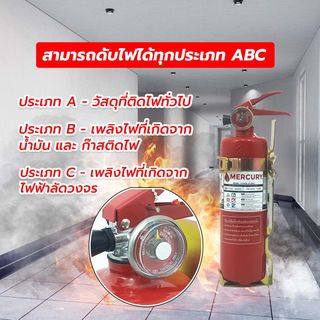Gallery item 4