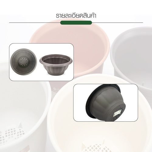 Gallery item 6