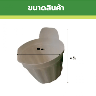 Gallery item 3