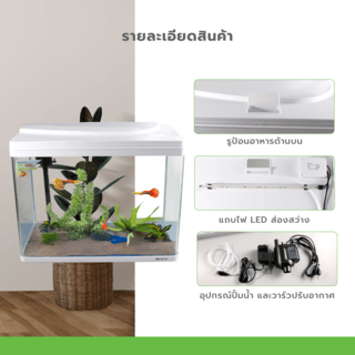 Gallery item 4