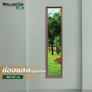 Gallery item 2