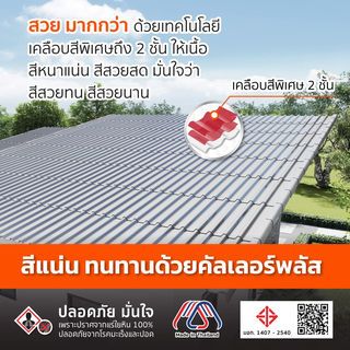 Gallery item 8
