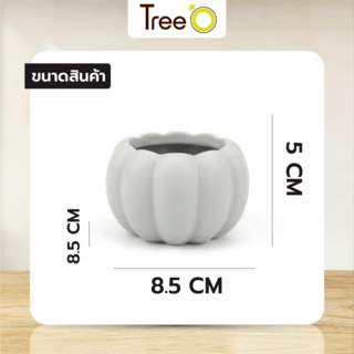 Gallery item 4