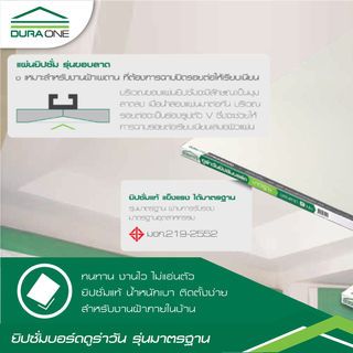 Gallery item 4