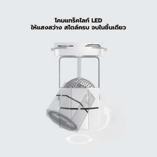 Gallery item 4