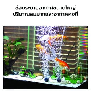 Gallery item 4