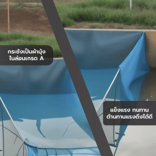 Gallery item 2