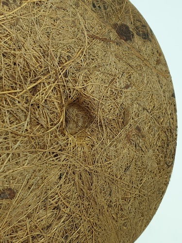 Gallery item 6