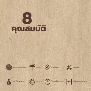 Gallery item 7