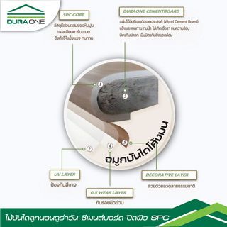 Gallery item 5