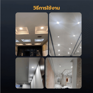 Gallery item 4