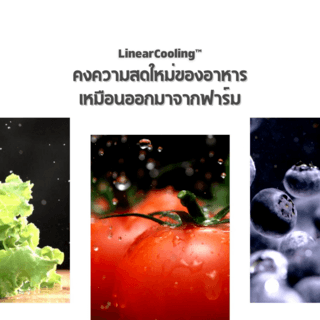 Gallery item 5