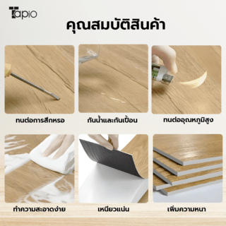 Gallery item 6