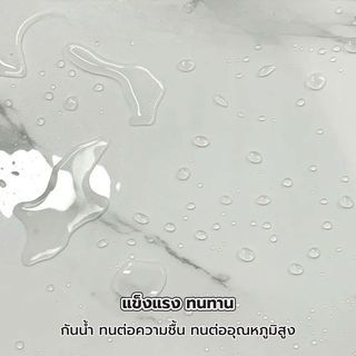 Gallery item 6