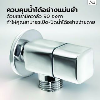 Gallery item 5