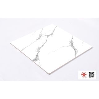 Gallery item 8