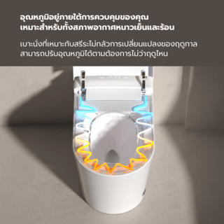 Gallery item 7