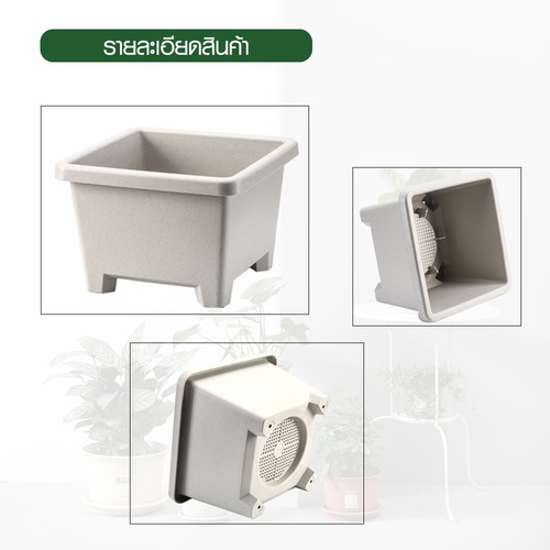 Gallery item 8