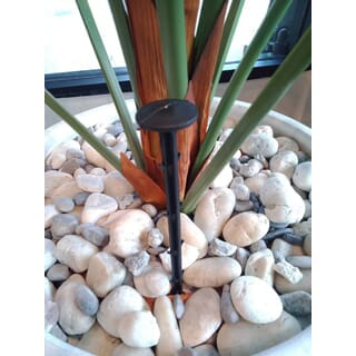 Gallery item 8