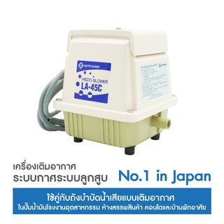 Gallery item 2