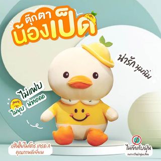 Gallery item 2