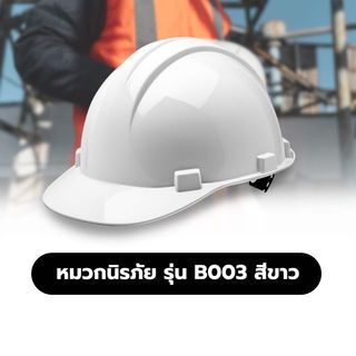 Gallery item 1