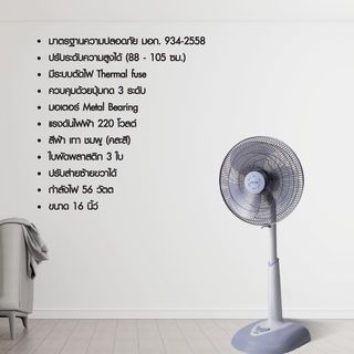 Gallery item 3