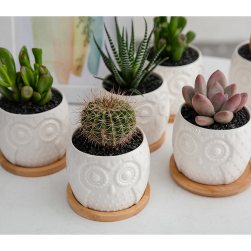 Gallery item 8