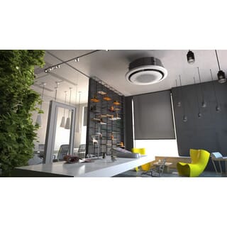 Gallery item 6