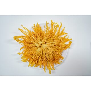 Gallery item 3