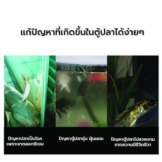 Gallery item 8