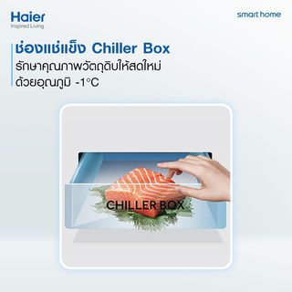 Gallery item 8