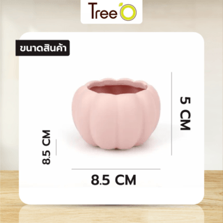 Gallery item 5