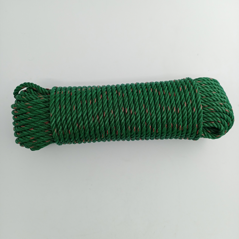 Gallery item 7