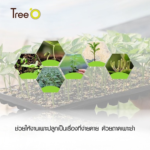 Gallery item 5