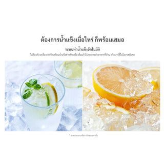 Gallery item 6