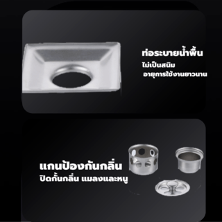 Gallery item 6