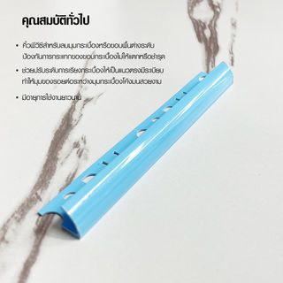 Gallery item 5