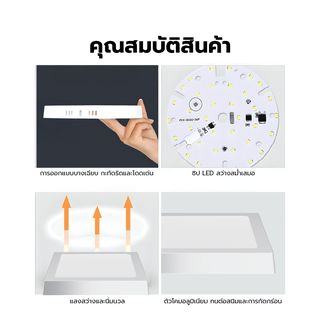 Gallery item 3