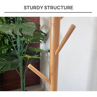 Gallery item 5