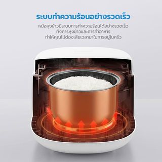 Gallery item 6