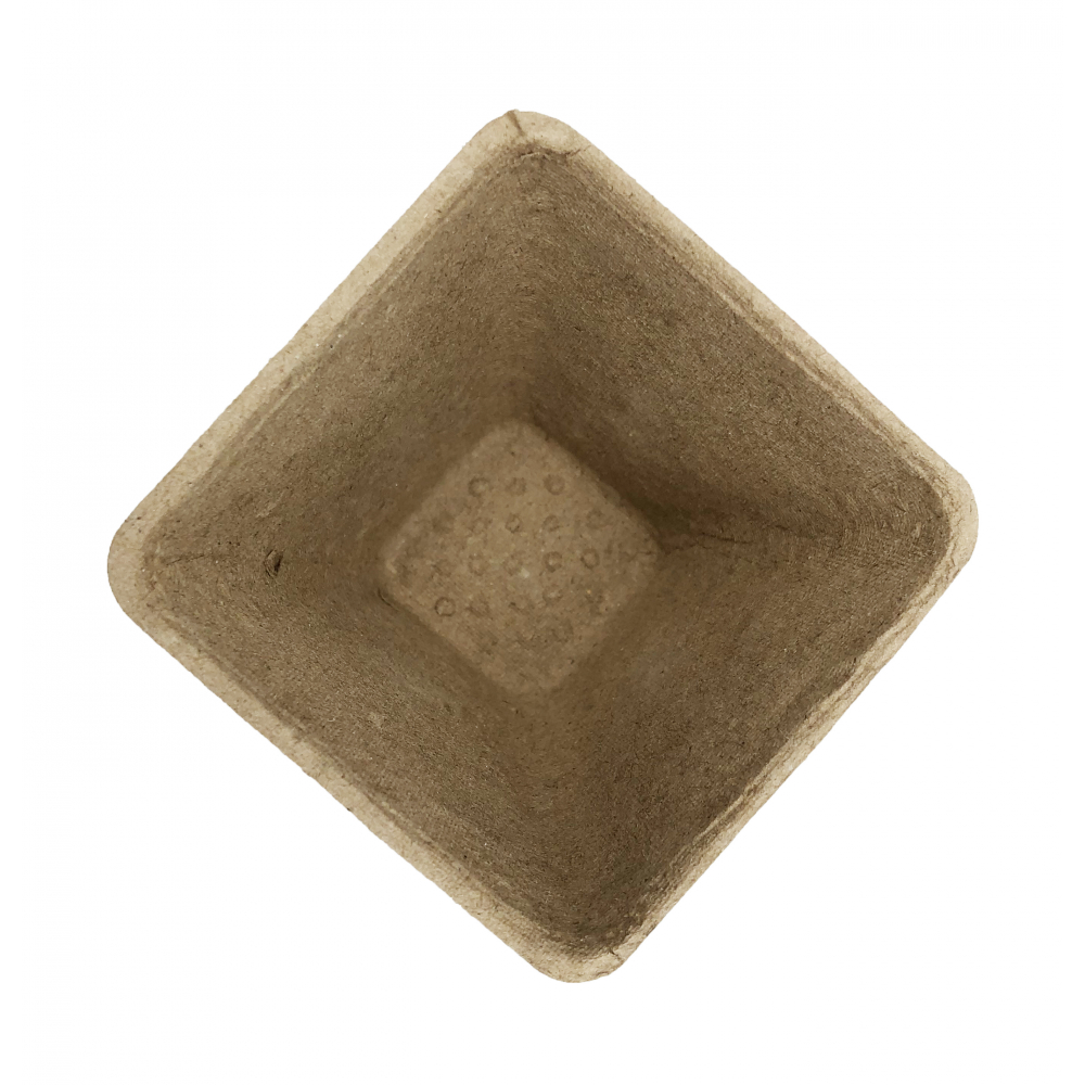 Gallery item 3